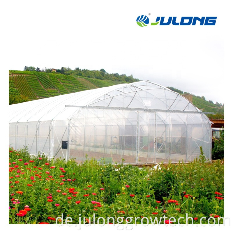 Agricultural Greenhouse Dutch Buckets Hydroponics System Tunnel Green House For Sale4